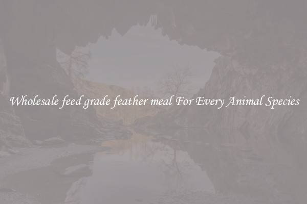 Wholesale feed grade feather meal For Every Animal Species