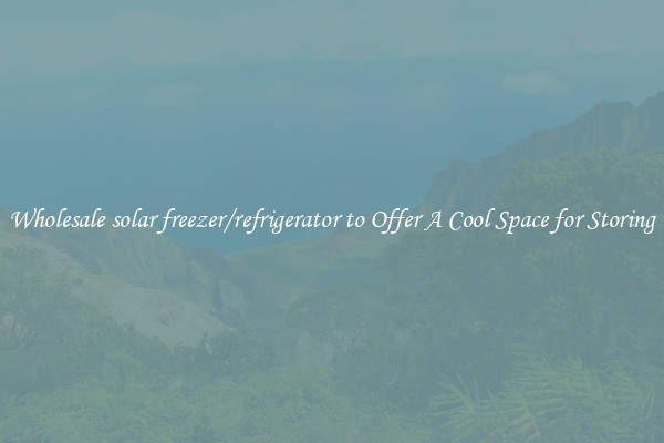 Wholesale solar freezer/refrigerator to Offer A Cool Space for Storing