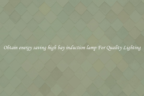 Obtain energy saving high bay induction lamp For Quality Lighting