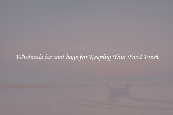 Wholesale ice cool bags for Keeping Your Food Fresh