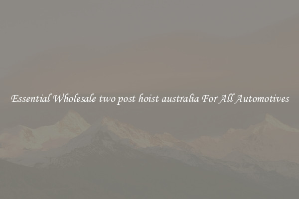 Essential Wholesale two post hoist australia For All Automotives