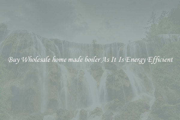 Buy Wholesale home made boiler As It Is Energy Efficient