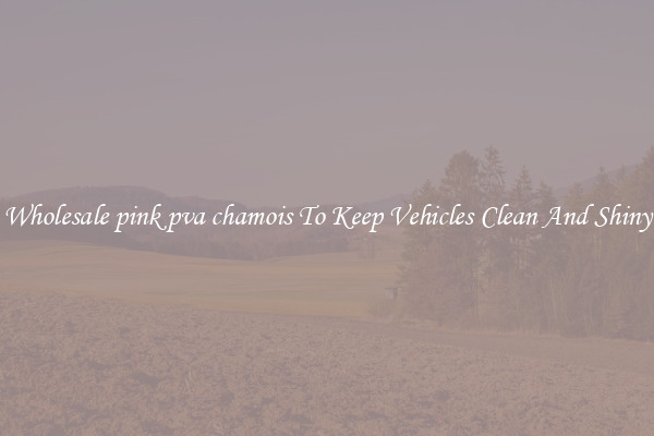 Wholesale pink pva chamois To Keep Vehicles Clean And Shiny