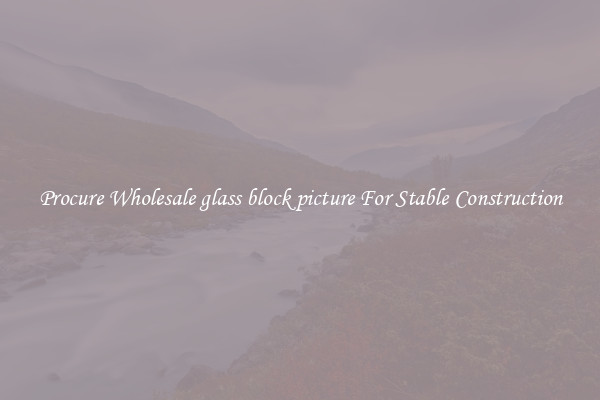 Procure Wholesale glass block picture For Stable Construction