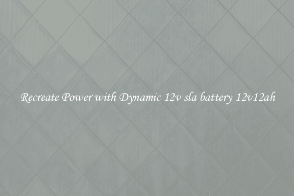 Recreate Power with Dynamic 12v sla battery 12v12ah