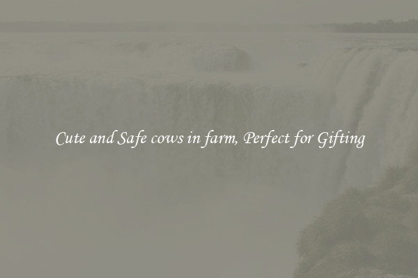 Cute and Safe cows in farm, Perfect for Gifting