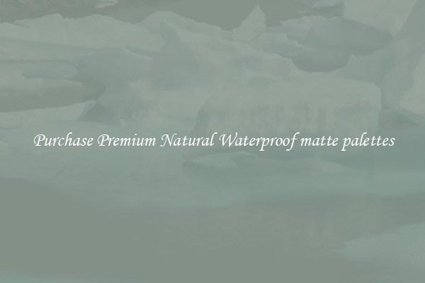 Purchase Premium Natural Waterproof matte palettes