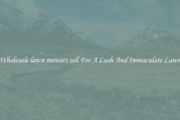 Wholesale lawn mowers sell For A Lush And Immaculate Lawn