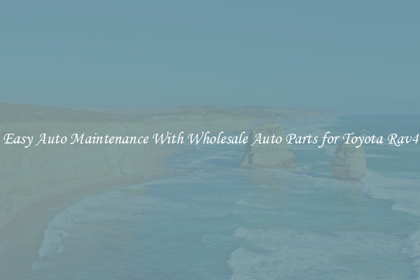 Easy Auto Maintenance With Wholesale Auto Parts for Toyota Rav4