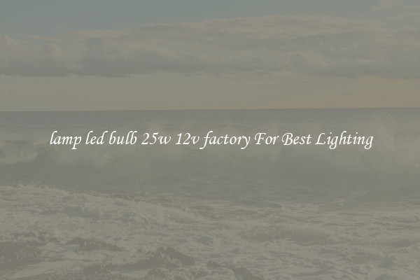 lamp led bulb 25w 12v factory For Best Lighting
