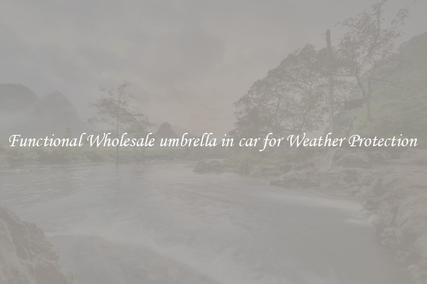 Functional Wholesale umbrella in car for Weather Protection 