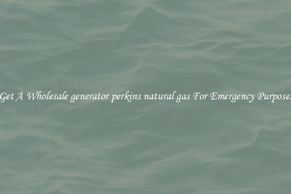 Get A Wholesale generator perkins natural gas For Emergency Purposes