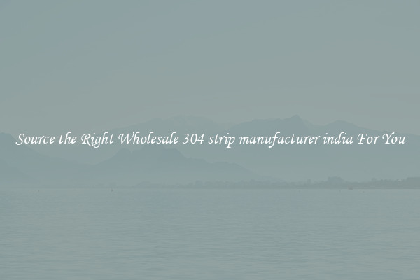 Source the Right Wholesale 304 strip manufacturer india For You