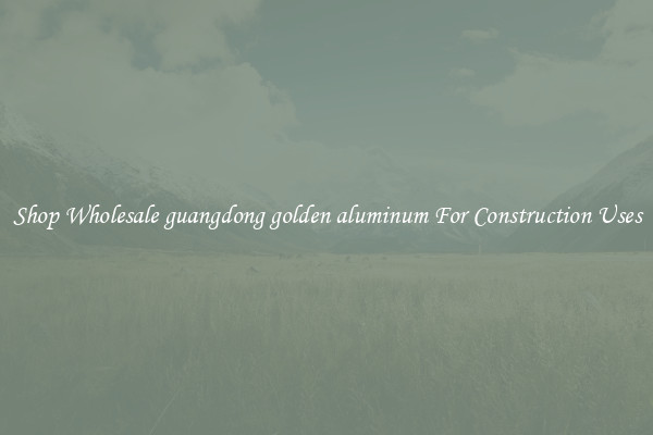 Shop Wholesale guangdong golden aluminum For Construction Uses