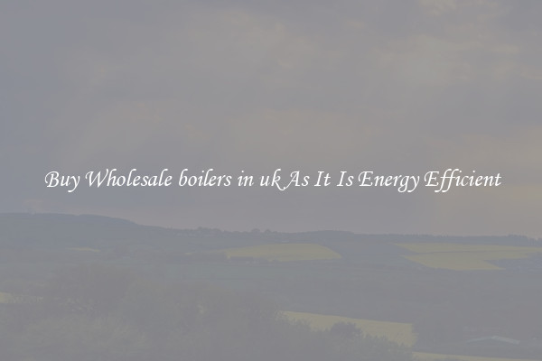 Buy Wholesale boilers in uk As It Is Energy Efficient