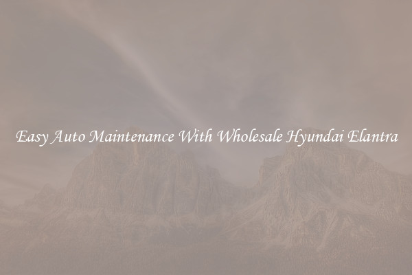 Easy Auto Maintenance With Wholesale Hyundai Elantra
