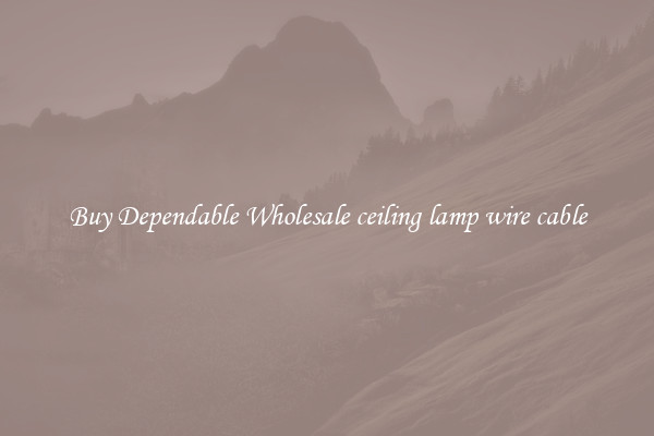 Buy Dependable Wholesale ceiling lamp wire cable