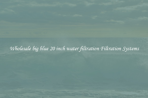 Wholesale big blue 20 inch water filtration Filtration Systems